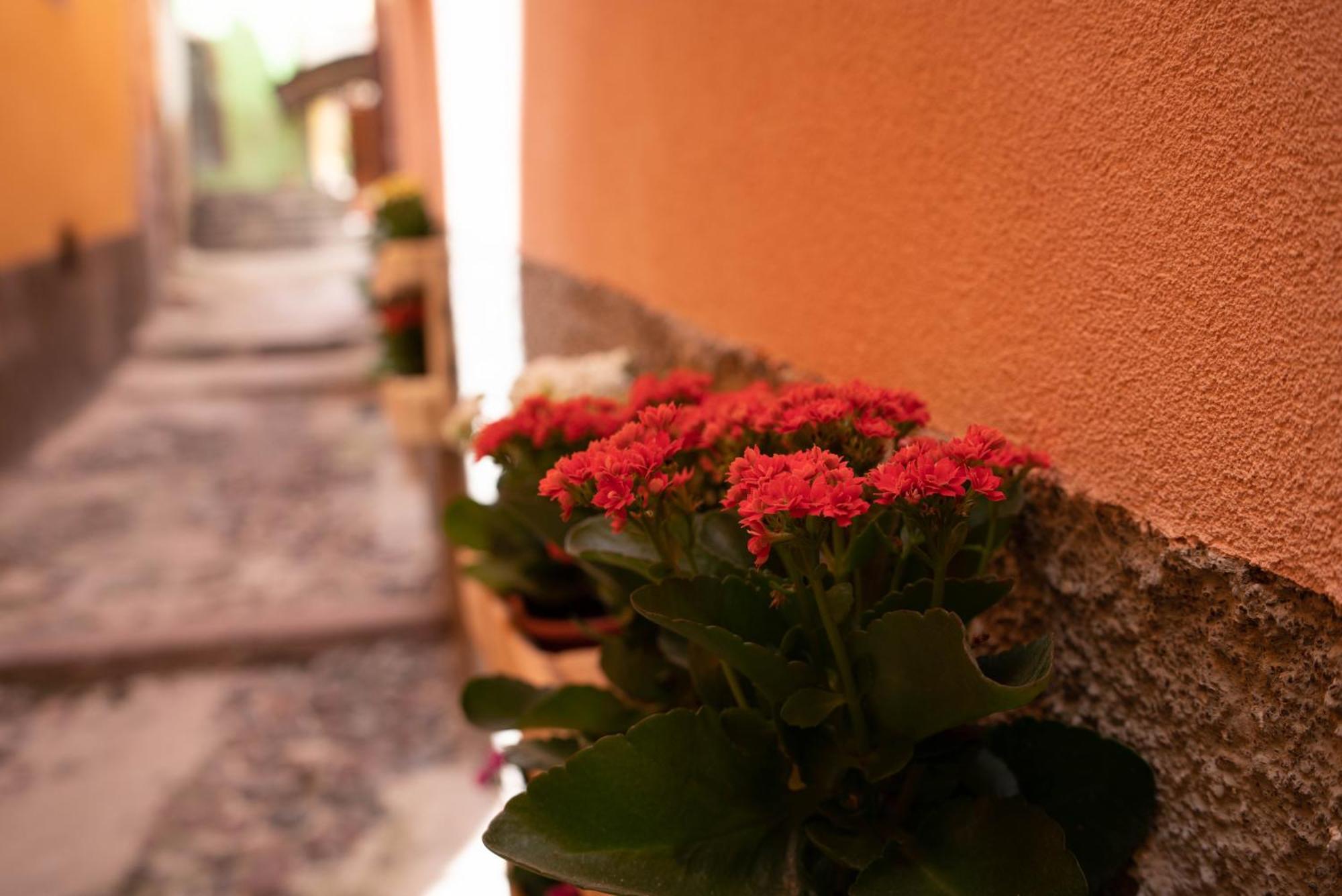 Casa Mirto Hotel Bosa Luaran gambar